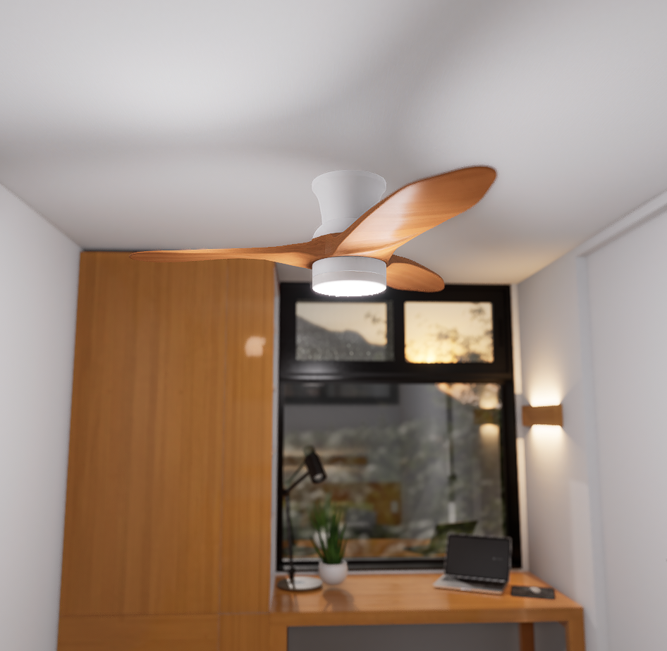 Ceiling Fan